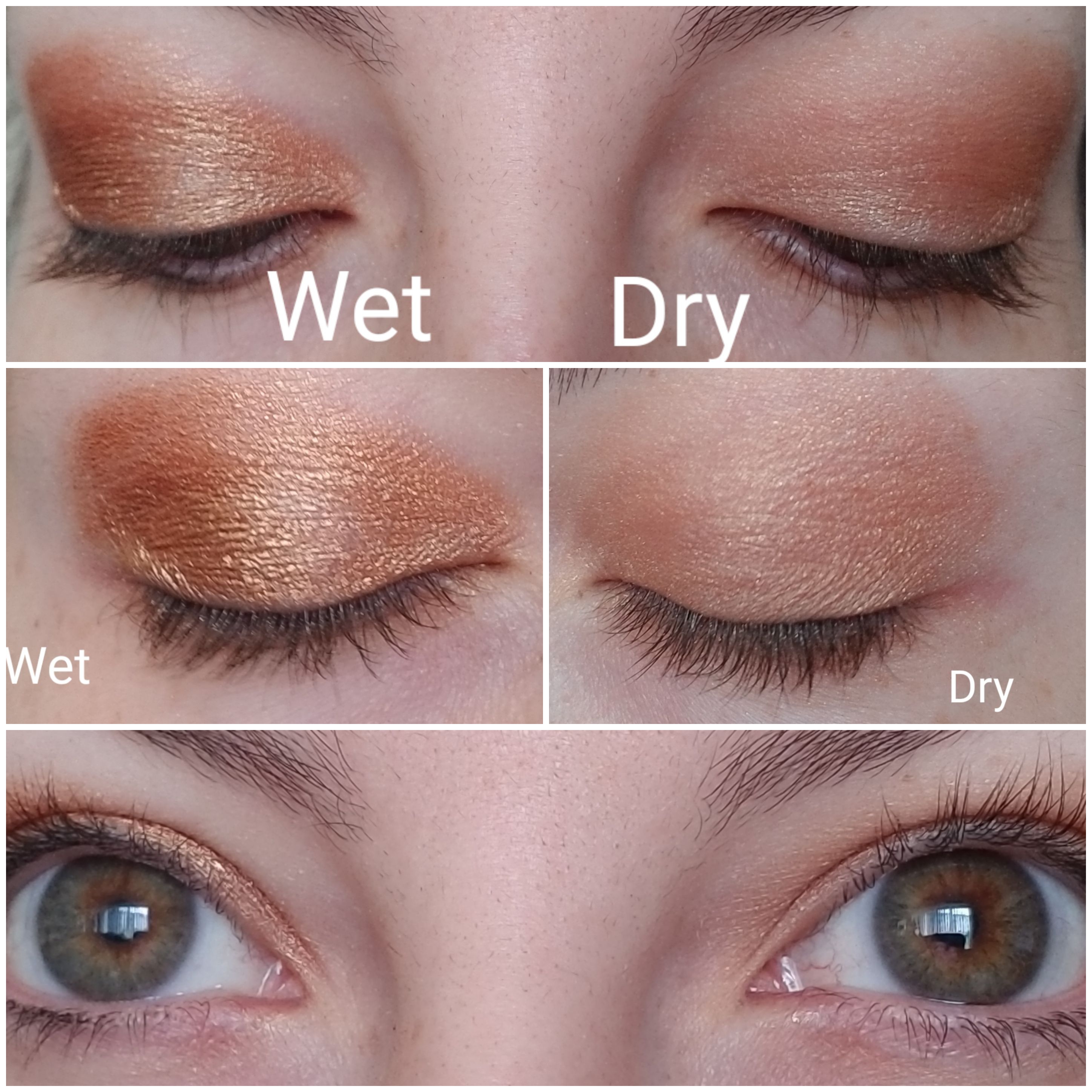 Wet brush vs. Dry Brush - Beauty Insider Community