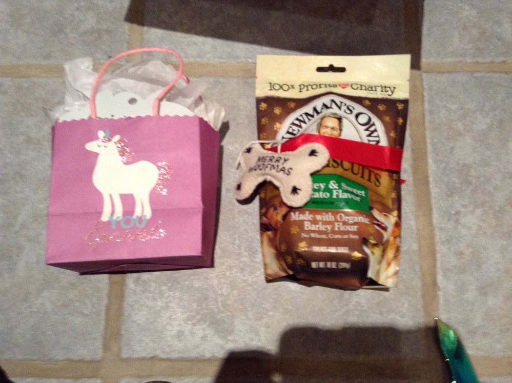 Unicorn bag and doggy biscuits