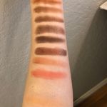 Swatches of the Urban Decay Reloaded palette