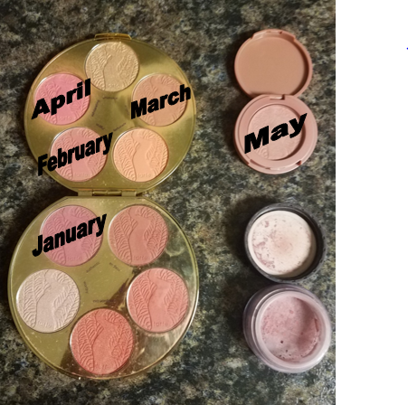 Blush Update 2019-05.PNG