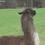 On my way lol ❤️