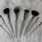 Shimmer and Sshine Brush Sset.JPG