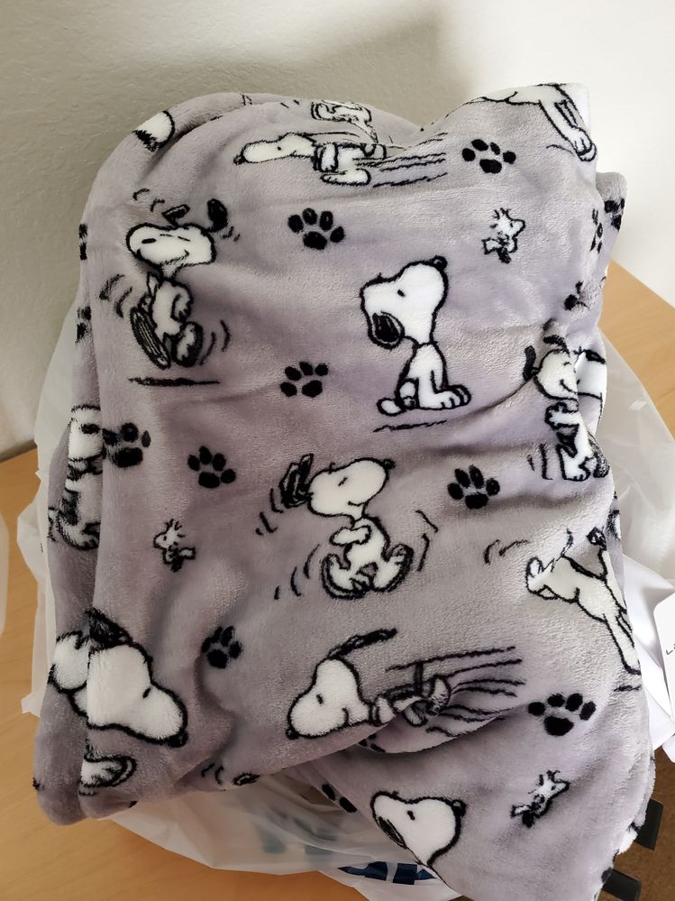 And the only thing I actually purchased was this adorable throw because it was too cute--and incredibly snuggly and fuzzy-- for me to pass up (Snoopy was my favorite cartoon character as a child):