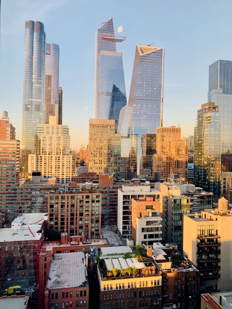 IMG_4295.jpg IMG_4295.jpg