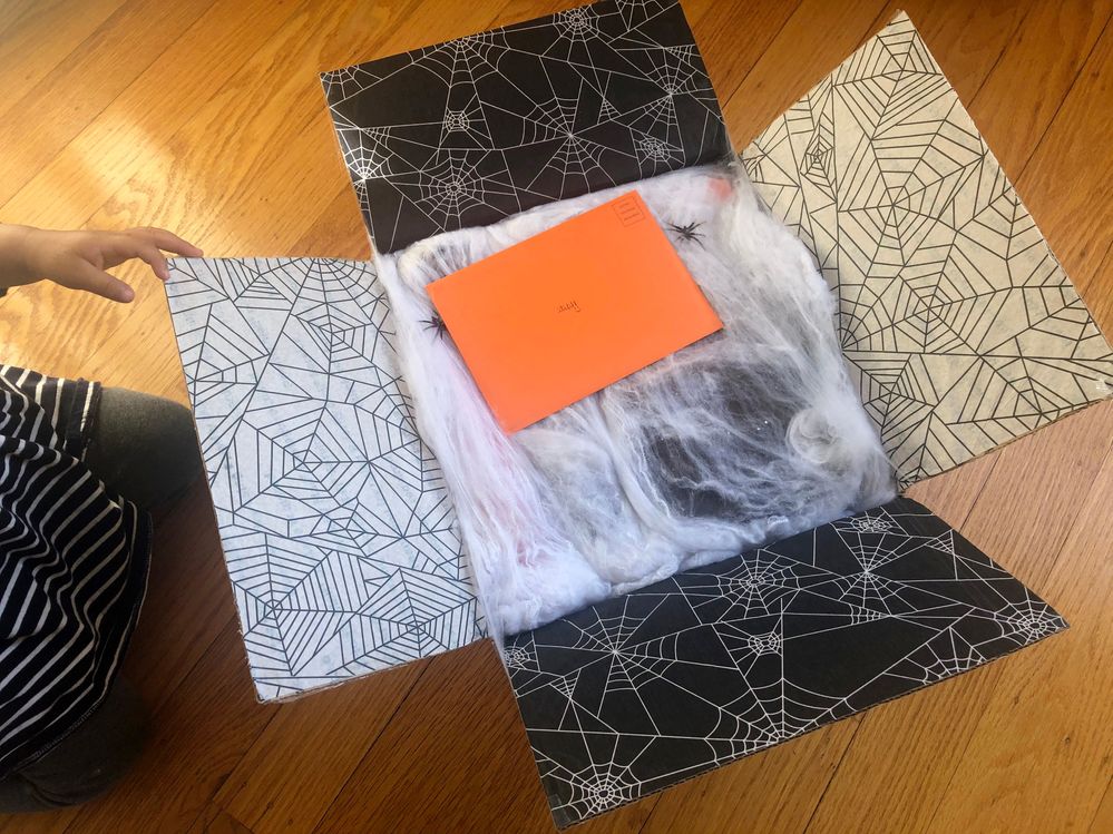 My niece helped me unbox the goodies before we went out trick-or-treating.