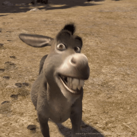 Here's a cute donkey!!