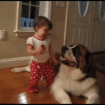 giphy - 2019-11-15T001525.267.gif