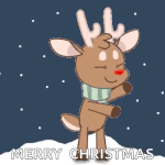 A58EF810-A34D-467C-AF10-DFC7E48668F9.gif