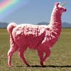 Optical illusion.Pink llama.4.OO.Illusion..jpeg