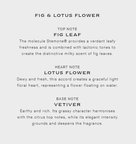 fig-lotus-flower.jpg