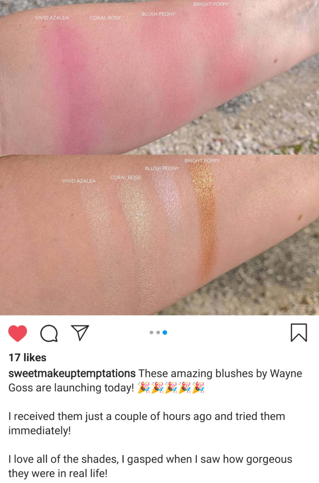 wayne goss blush