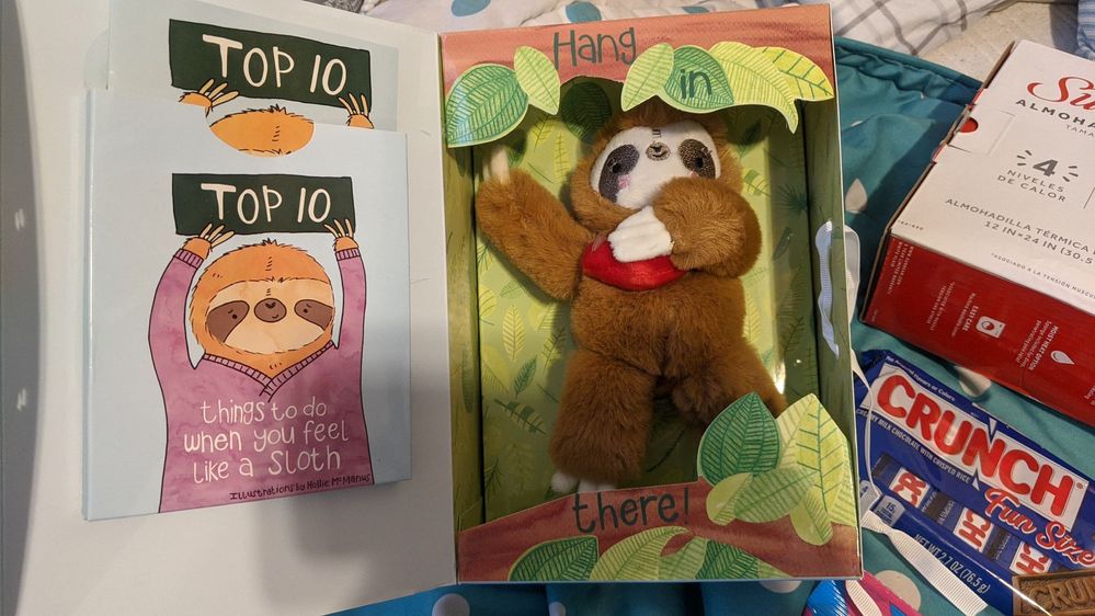 Cute Sloth Spro.jpg