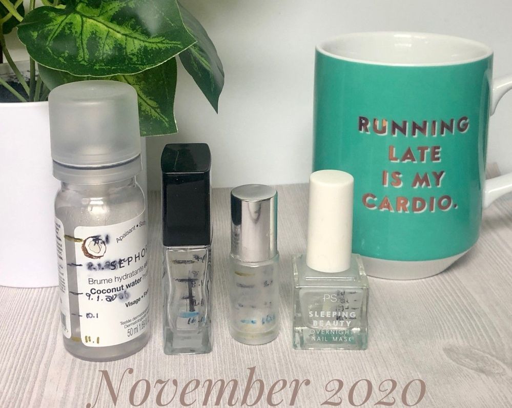11.2020 Project Pan 1.jpg