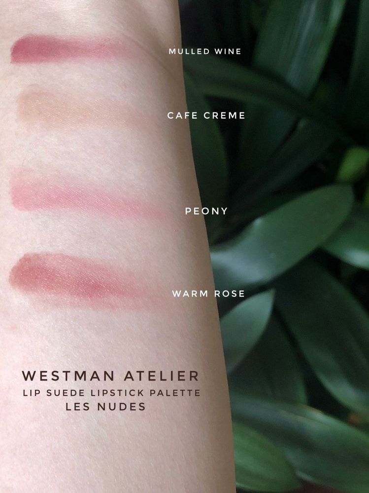 WA Swatches.jpg