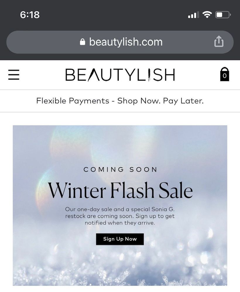 Beautylish Winter Flash Sale.jpg