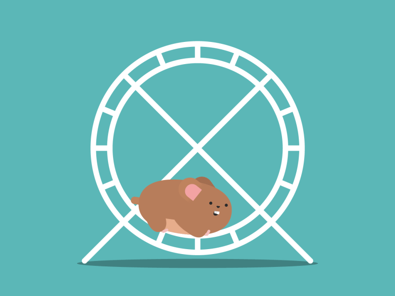 endless loop hamster.gif