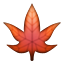 maple_leaf.png