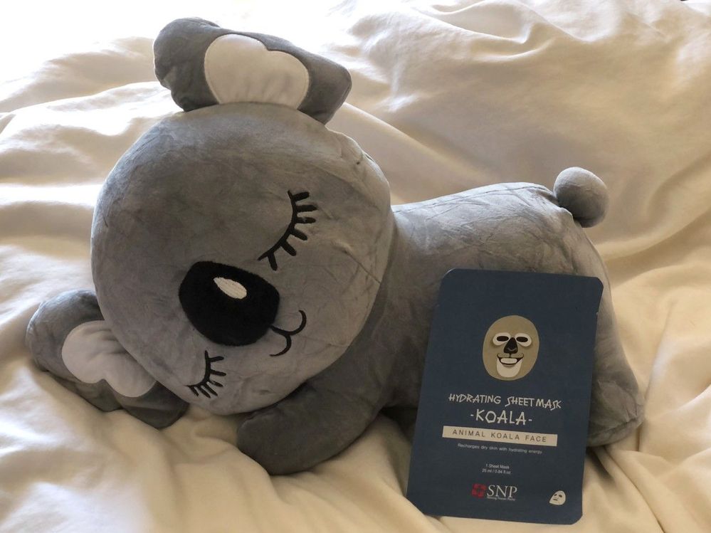 8.22.2022 - H - hydrating koala.jpg