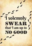 I solemnly swear