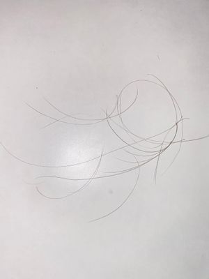 This is from just running my hand across my hairline a couple times (dry). I counted 26 strands