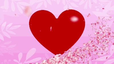 Happy-Valentines-Day-Gif_012_wordsjustforyou_040221.gif