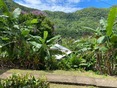 View from the family house (fale)