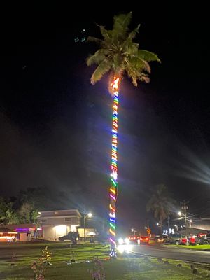 33E298C8-022F-4CC2-A8E0-68CEF7A155D0.jpeg