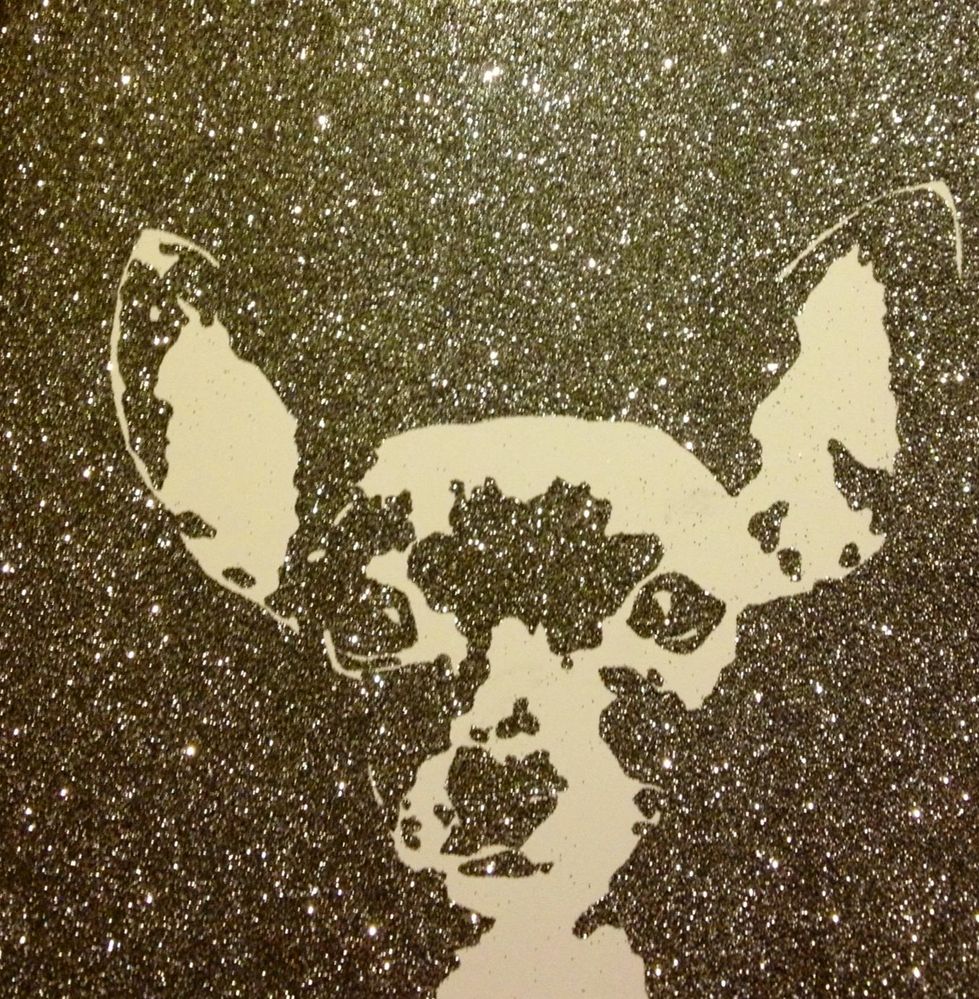 Chihuahua (Silver).JPG