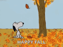 IMG_2644.gif
