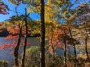 PXL_20231021_201525290.jpg