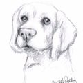 Abby258