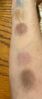 eye shadow swatches.jpg