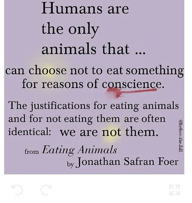 humans as animals
