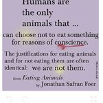 humans as animals