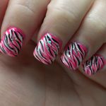 Hot Pink Zebra
