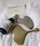 gua sha + rose hip seed oil.jpg