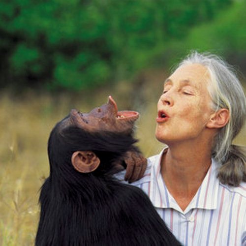 Jane-Goodall-Facts1.jpg