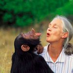 Jane-Goodall-Facts1.jpg