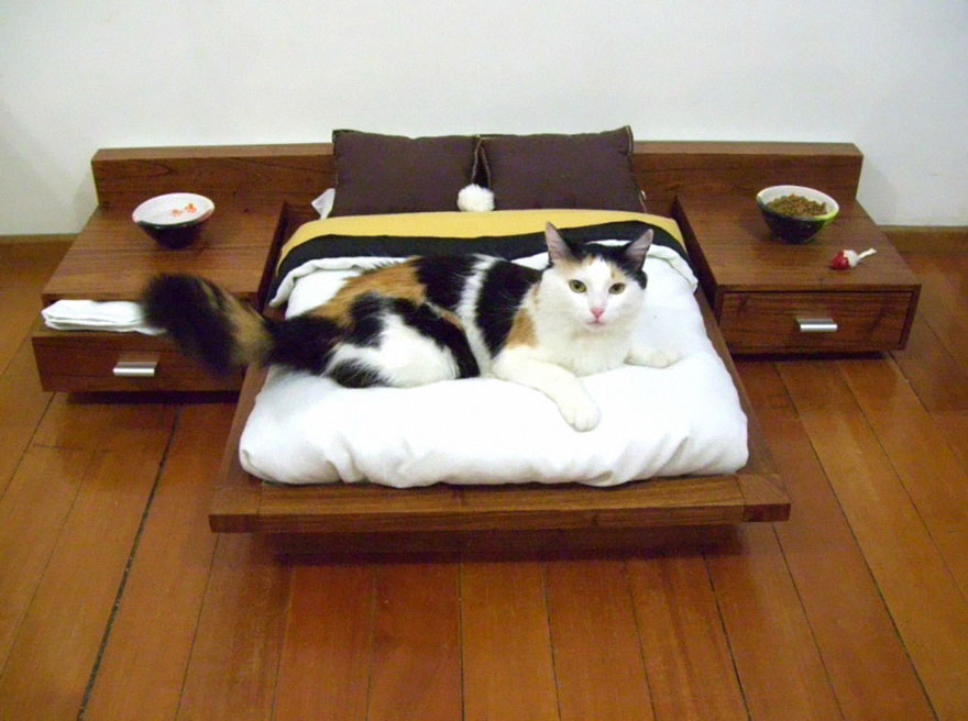 cat-furniture-111.jpg