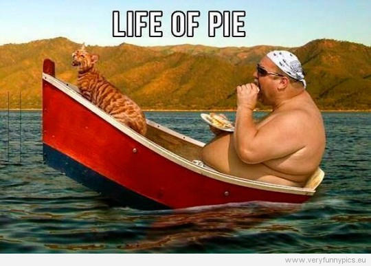 funny-picture-life-of-pie-540x387.jpg