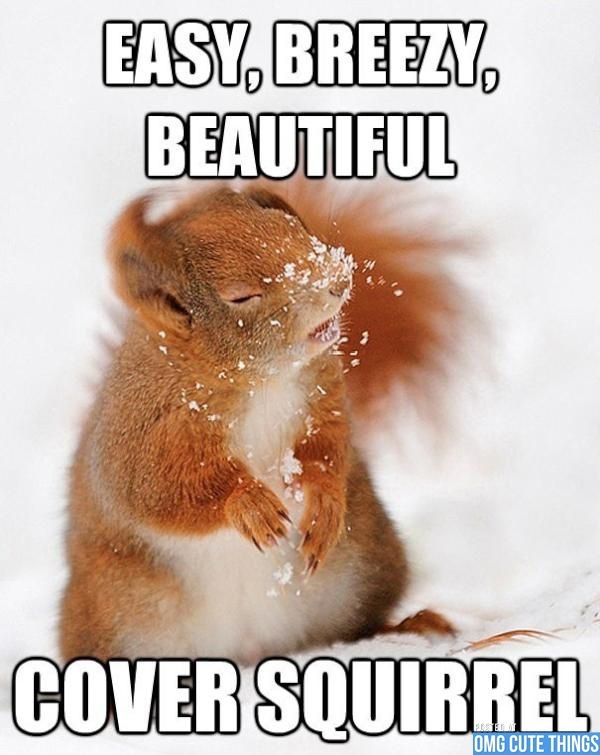 Coversquirrel