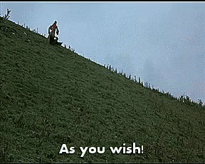 from The Princess Bride (giphy)
