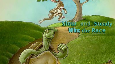 slow and steady wins the race.jpg