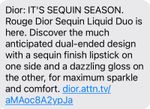 Dior holiday 2.jpg