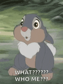 IMG_0521.gif
