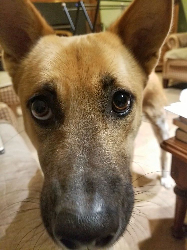 hoping for some cheese...