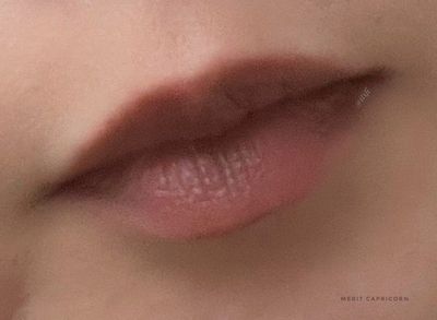 Merit Capricorn lined & blended out over entire lip