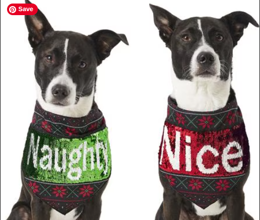 Screenshot 2025-12-14 3.36.51 PM.png