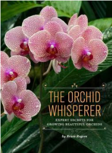 orchid whisperer.png