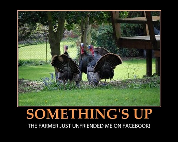 thanksgiving-meme-3.jpg